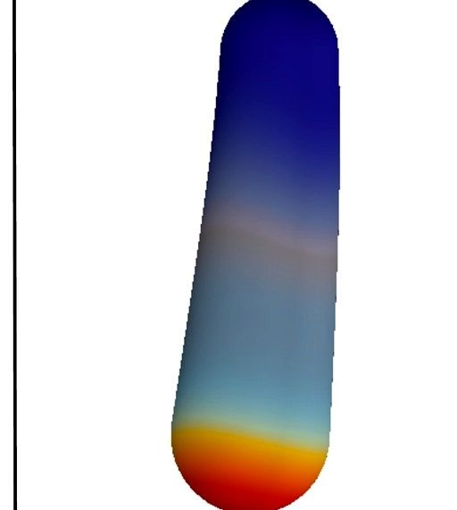 400 N buckling simulation